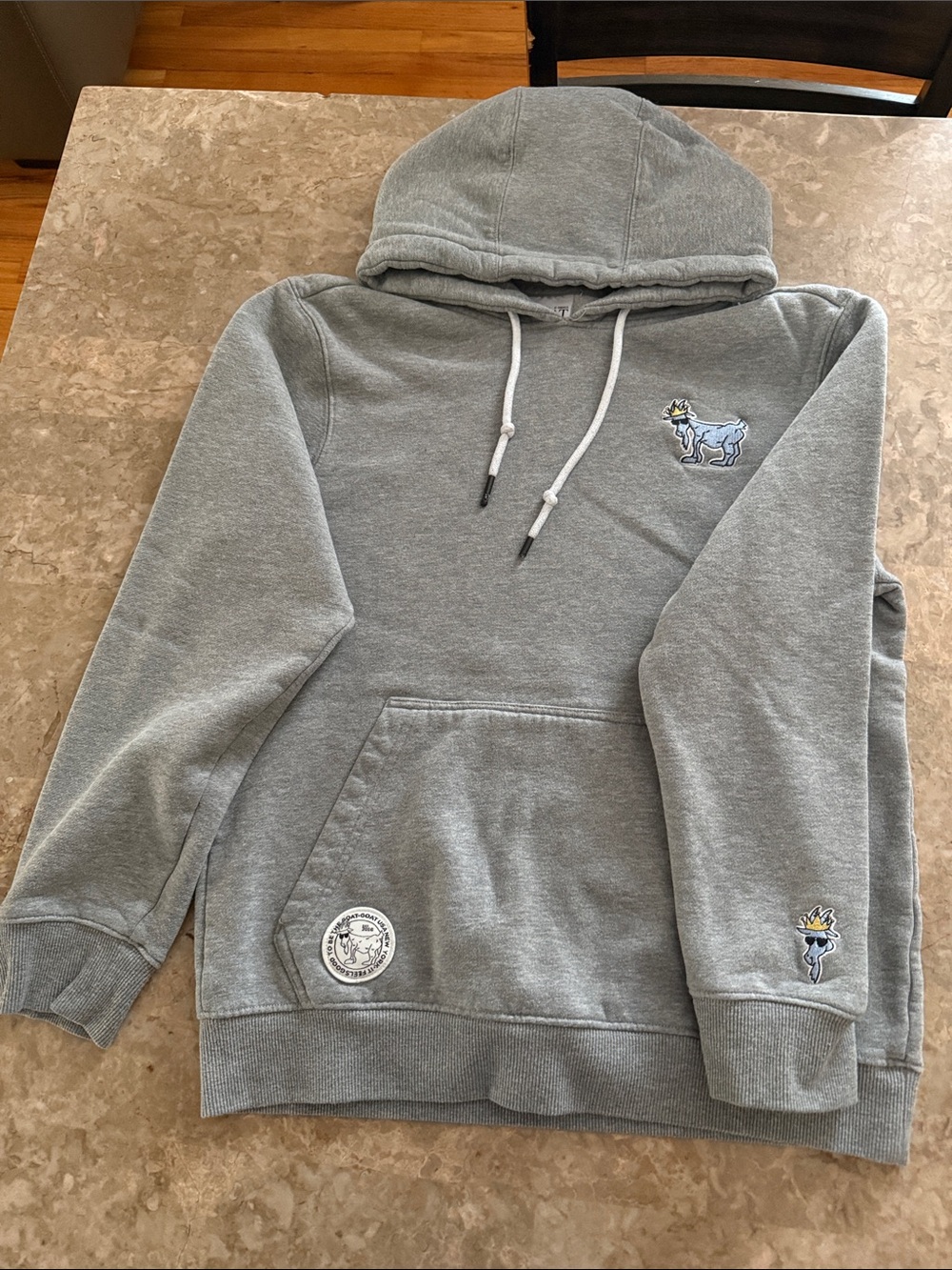 Gray Pullover Hoodie with Embroidered Crest